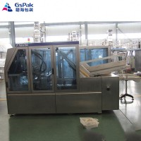 Full Automatic Drop Down Type Case Packer Packing Machine