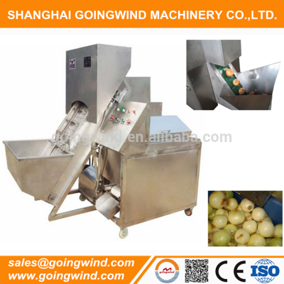 Automatic spring onion peeling machine auto onions skin peeler and root cutter machinery cheap price for sale