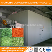 Automatic vegetable freezer machine IQF vegetables quick freezing equipment good price for sale